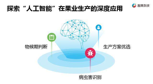 鄉(xiāng)村振興，科技賦能 新一代農(nóng)業(yè)信息技術(shù)企業(yè)的軟件戰(zhàn)略
